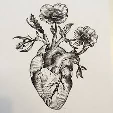 1000 ideas about anatomical heart drawing on pinterest. Anatomical Heart Woodcut Google Search Tattoos Body Art Tattoos Heart Drawing