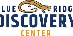 Nighthawk Migration — Blue Ridge Discovery Center