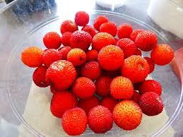 13 Confiture D Arbouses 6 Fruits Et Legumes Recettes De Cuisine Fruits
