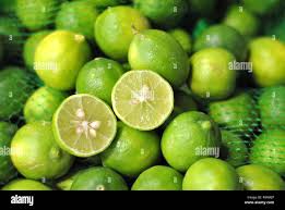 Image result for Citrus × aurantiifolia