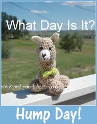 Okay, i was only waiting for, like, a couple of minutes, but i still wanted to go! Posh Pooch Designs Dog Clothes What Day Is It Humphrey The Camel Stuffie Crochet Pattern
