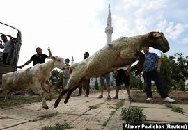 The scapegoat ritual can be traced back to 24th century bc ebla, from where it spread throughout the ancient near east. Muslims From Europe To Asia Celebrate Eid Al Adha The Feast Of Sacrifice