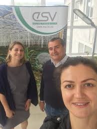 Opportunities in Ternopil; preparations trade mission