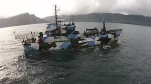 Nursing cap fur seal pup and mothersea shepherd has dispatched our o.r.c.a.force unit to namibia to expose one of the. Sea Shepherds Dienstaltestes Schiff Sea Shepherd Deutschland