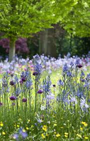 33 Best Garden Design Ideas For More Garden Design Ideas Wildflower Garden Wild Flower Meadow Autumn Garden