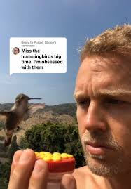 Spencer Hummingbird Feeder