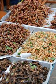 Apr 01, 2019 · water: How To Eat Scary Insects Worms And Bugs In Thailand