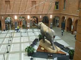 Le muséum de toulouse, bordé par le jardin des plantes, est un musée au carrefour du monde des sciences, de la culture, de la pédagogie, des enjeux en 1796, philippe picot, titulaire de la première chaire d'histoire naturelle à toulouse et directeur du jardin des plantes, transfère son cabinet et ses. Le Museum De Toulouse Toulouse Haute Garonne Midi Pyrenees Grand Sud Insolite Et Secret