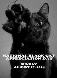 Face Low Cost Spay Neuter Clinic With Genevieve Homola And Paul Charles Rector Here Are Some Reasons You Should Adopt A Black Cat Goruntuler Ile Kedi Resim Siyah