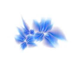 They look awesome and as all our other photoshop files on our site, these too are free. Download Wallpaper White Clean Minimalism 1024x768 Abstract Blue Flowers