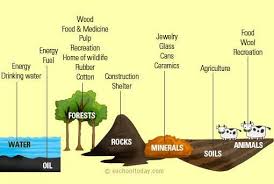 Natural Resources Natural Resources Examples And Uses Conservation Of Natural Resources Natural Resources Types Of Natural Resources