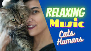 Relaxing Music For Cats And Humans Relaxing Music For Your Cat Relaxin In 2020 Relaxing Music Deep Sleep Music Meditation Music Sleep
