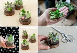 Cactus and succulents are slow growing and great for adding a splash of greenery to small this diy tutorial on how to make a terrarium with cacti and desert plants is a step by step tutorial that will get you real excited about making terrariums. 25 Adorable Miniature Terrarium Ideas For You To Try