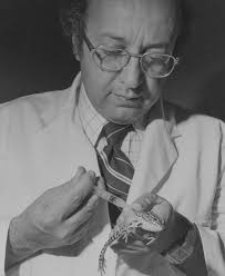 Celebrating 50 years