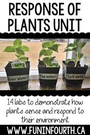 You Need These Fun Science Experiments If You Re Teaching The Plants Response To Their Env Plant Science Fair Projects Horticulture Education Plant Experiments