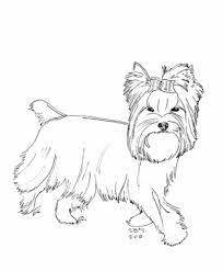 Mar 10, 2015 · click the yorkshire terrier coloring pages to view printable version or color it online (compatible with ipad and android tablets). 39 Best Ideas For Coloring Coloring Pages Of Yorkie Puppies