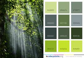 Color palette with shade of colors. Water Nature Green Color Palette Colorpalette Org