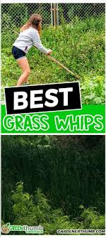 Maybe you would like to learn more about one of these? Pin On Vegetable Gardening Tips And Tricks