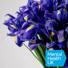 Check spelling or type a new query. Amethyst Purple Iris Sustainable Florist Online Bloom