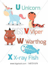 It is a large, aquatic mammal that can be found in the arctic ocean. Cute Alphabet Funny Vector Photo Free Trial Bigstock