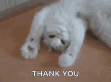 Mrw i buy my year old cousin an early christmas gift and he. Thank You Gifs Tenor