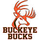 Steele at Buckeye