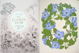 A year in flowers book review. The Flower Year A Colouring Book A Review Colouring In The Midst Of Madness