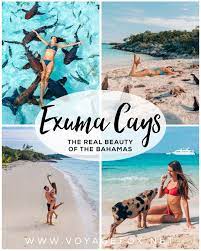 Die Exuma Cays Das Wahre Paradies Der Bahamas Voyagefox Exuma Bahamas Swimming Pigs