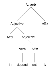 Morpheme Based Morphology Tree Of The Word Independently Morphology Linguistics Linguistics Adjectives Verbs