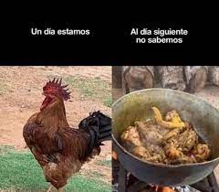 Imagenes De Risa Pagina 8 Imagenes De Risa Memes Diarios Imagenes De Risa Memes Memes Divertidos Memes Graciosos