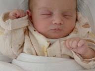 Photo Naissance : toutes les infos sur Le Dauphin Libr