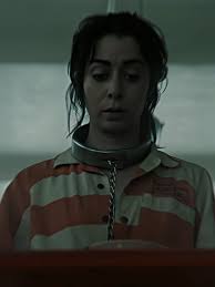 Julia Falcone The Penguin