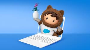 Seeds and the tubes are used as a vegetable by villagers while leaves stem and flowers are used in herbal medicine. Urbanstems Three Best Practices For D2c Success