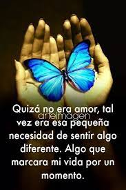 Pin De Myriam Londono R En Brindis Por Tu Amor Frases Bonitas Frases Ironicas Frases Sabias
