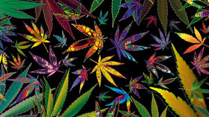 Free Download Gallery For Gt Trippy Weed Wallpapers 1600x1200 For Your Desktop Mobile Tablet Explore 78 Stoner Wallpaper Live Weed Wallpapers That Move Trippy Stoner Wallpapers Cool Marijuana Wallpapers