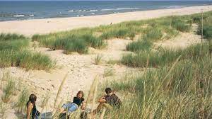 Die ostsee gehört seit gut zwei jahrhunderten zu den beliebtesten ausflugszielen. Polnische Ostsee Sahara Am Meer Geo
