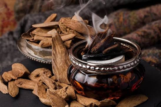 Oud agarwood