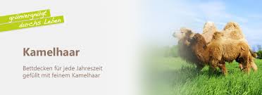 Luxus australischer merino wool kamel decke bett überwurf alle größen woolmark. Hochwertige Bio Kamelhaar Decken Bettdecken Mit Kamelflaumhaar