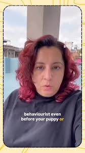 I spoke to Pet No Fret about the right time to hire a trainer or  behaviourist., Check it out.