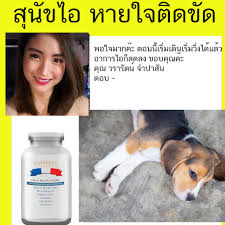 หัวใจโต ( cardiomegaly ) ภาวะหัวใจใหญ่กว่าปกติ ทำให้ความดันโลหิตสูง แต่หัวใจสูบฉีดเลือดได้ไม่ดี อาการเหนื่อยง่าย หายใจเร็ว เวียนหัว อ่อนเพลีย เท้า. à¸—à¸šà¸—à¸§à¸™à¹‚à¸£à¸„à¸« à¸§à¹ƒà¸ˆà¹‚à¸•à¹ƒà¸™à¸ª à¸™ à¸‚ à¸­à¸²à¸à¸²à¸£ à¸­à¸²à¸«à¸²à¸£à¸ª à¸™ à¸‚à¹‚à¸£à¸„à¸« à¸§à¹ƒà¸ˆà¸—à¸³à¹€à¸­à¸‡ à¸ª à¸™ à¸‚à¹‚à¸£à¸„à¸« à¸§à¹ƒà¸ˆ Pantip à¸¢à¸²à¹‚à¸£à¸„à¸« à¸§à¹ƒà¸ˆà¸ª à¸™ à¸‚ à¸£à¸²à¸„à¸² à¸•à¸£à¸§à¸ˆ à¸« à¸§à¹ƒà¸ˆà¸ª à¸™ à¸‚ à¸£à¸²à¸„à¸² à¸¨ à¸™à¸¢ à¹‚à¸£ Good Price
