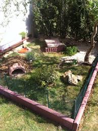 Comment Construire Un Terrarium Pour Tortues Recherche Google Tortoise Habitat Turtle Enclosure Tortoise House