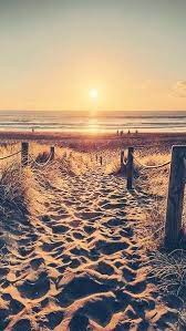 Don't forget to bookmark cute sunset wallpapers for iphone using ctrl + d (pc) or command + d (macos). Tumblr Sunset Beach Wallpaper Iphone