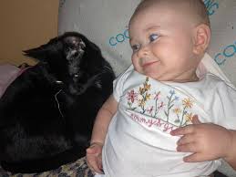 Not a way i wanted to start my day, binx decided to bult again out the  front door when my dad was leaving for work. We live off derringer and  called cristobal