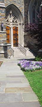 a4248681a042f32b73649ed5f864457a47fcf34799bb0e924c3daa75044cde54