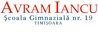 Lucrari pentru extindere retea internet. Scoala Gimnaziala Nr 19 Avram Iancu