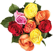 But other flowers have a meaning as well. Decoding The Secret Language Of Flowers Illinois Times