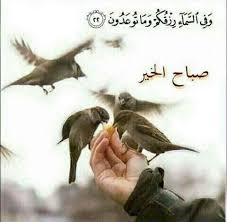 pin by najd on صباح ومساء morning images animals poster