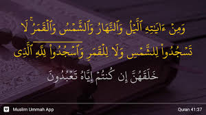 Sheikh hamdy habeeb 02 june 2020. Surah Fushshilat Ayat 37 Qs 41 37 Tafsir Alquran Surah Nomor 41 Ayat 37