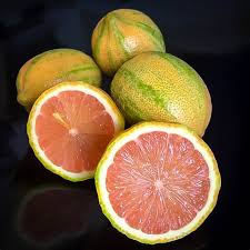Lemonade fruit (citrus limon x reticulata) is a citrus fruit that is a hybrid between a mandarin orange and a lemon, grown in australia and new zealand. Variegated Pink Lemon Tree For Sale Online The Tree Center