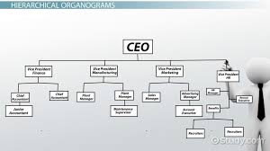 48 Rigorous What Is An Organogram Structure